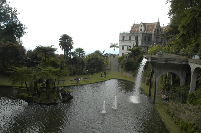madeira botanical gardens.JPG - MADEIRA - BOTANICAL GARDENS